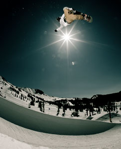 © Cole Barash