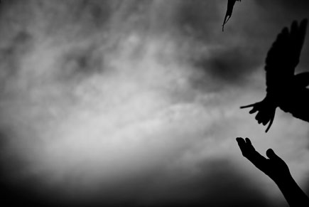 © Jeff Hutchens