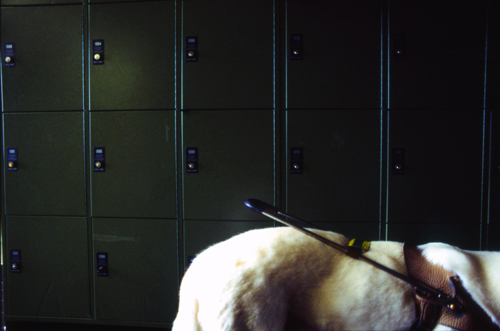 © Pep Bonet | Guide Dogs